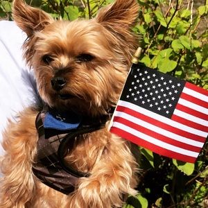 Meet your Posher, Meghan